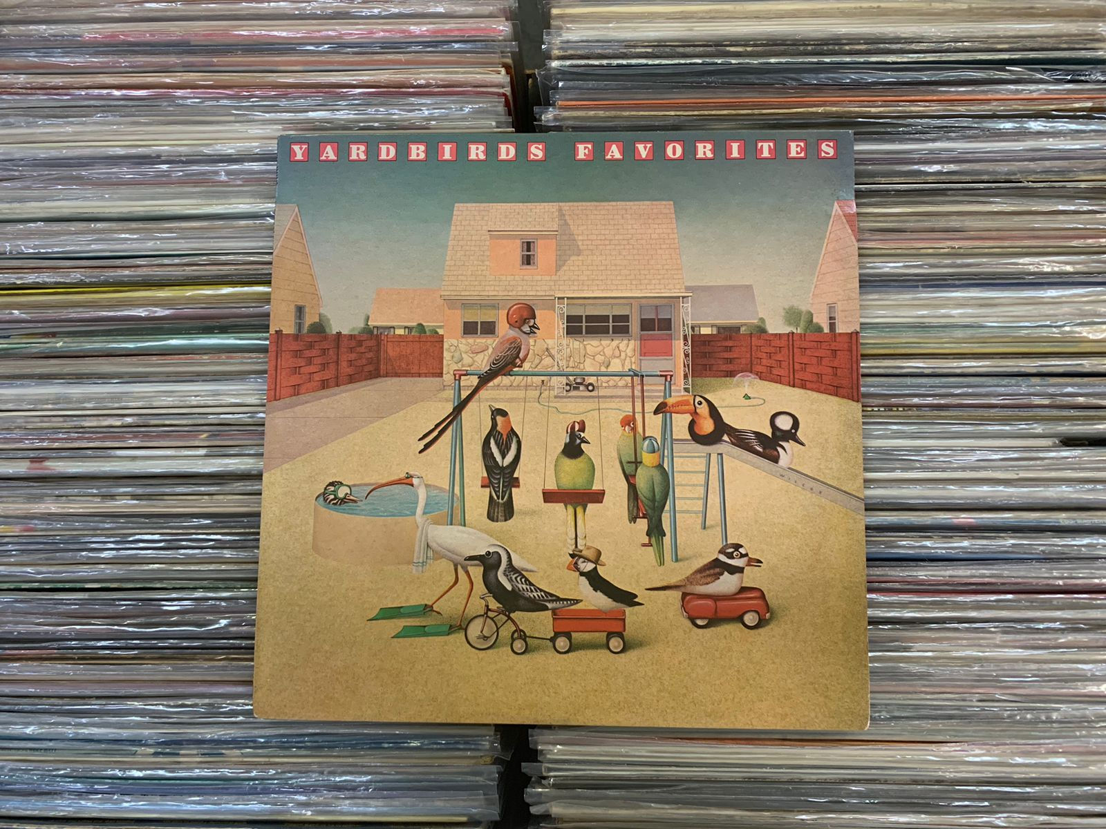 LP Yardbirds - Favorites - Importado