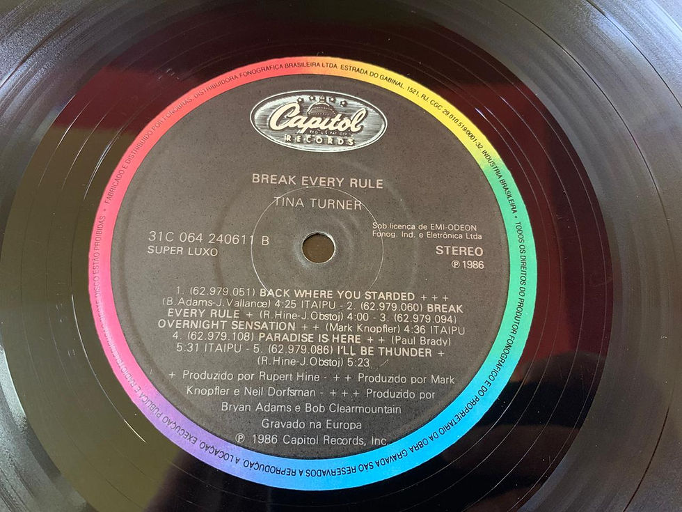 Miniatura: LP Tina Turner - Break Every Rule - C/ Encarte