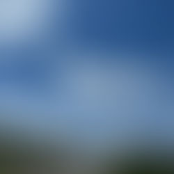 OMG. . .Clouds?. . Frogs?