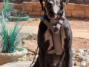 OMG. . .In So Many Ways