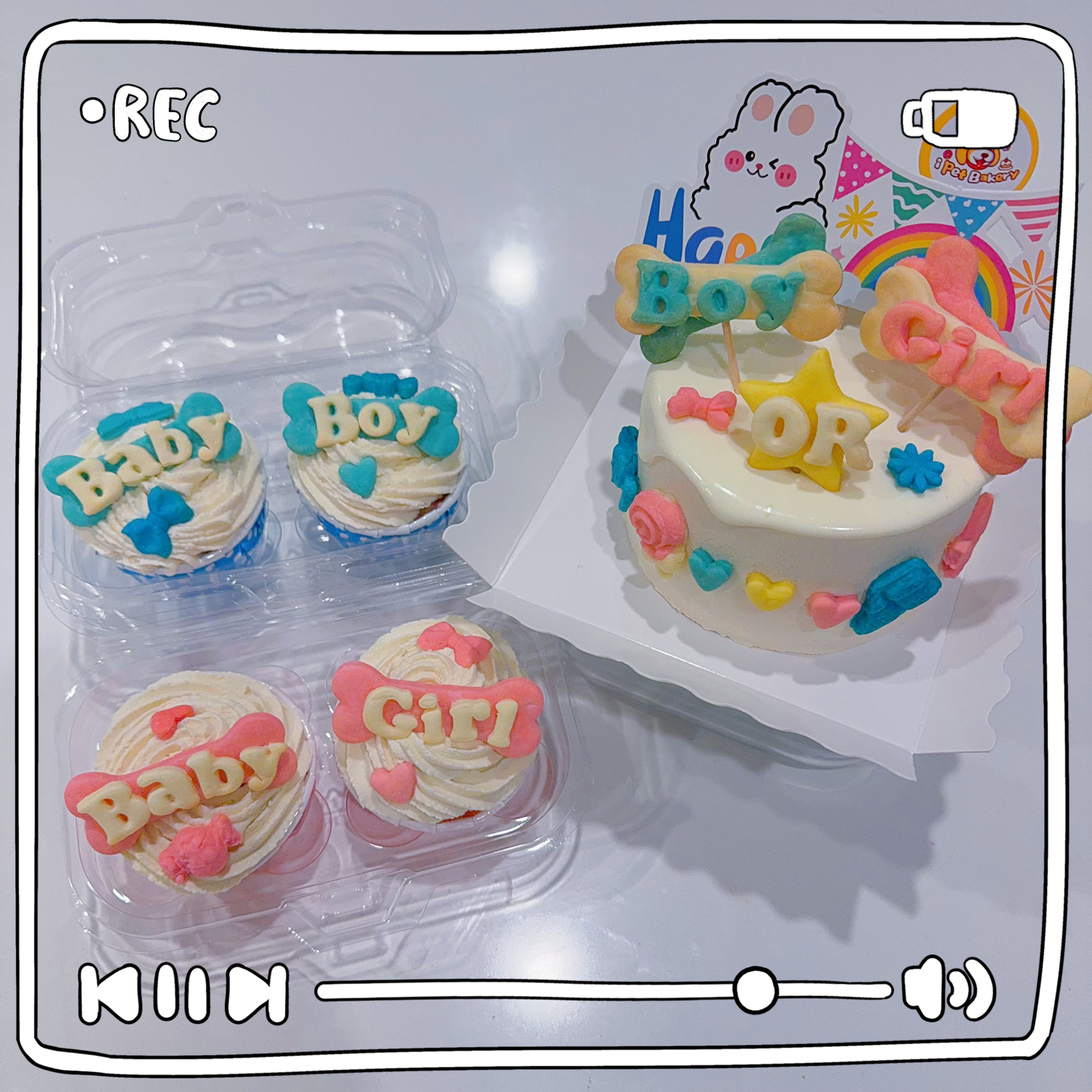 🍼Gender Reveal Dog Cake