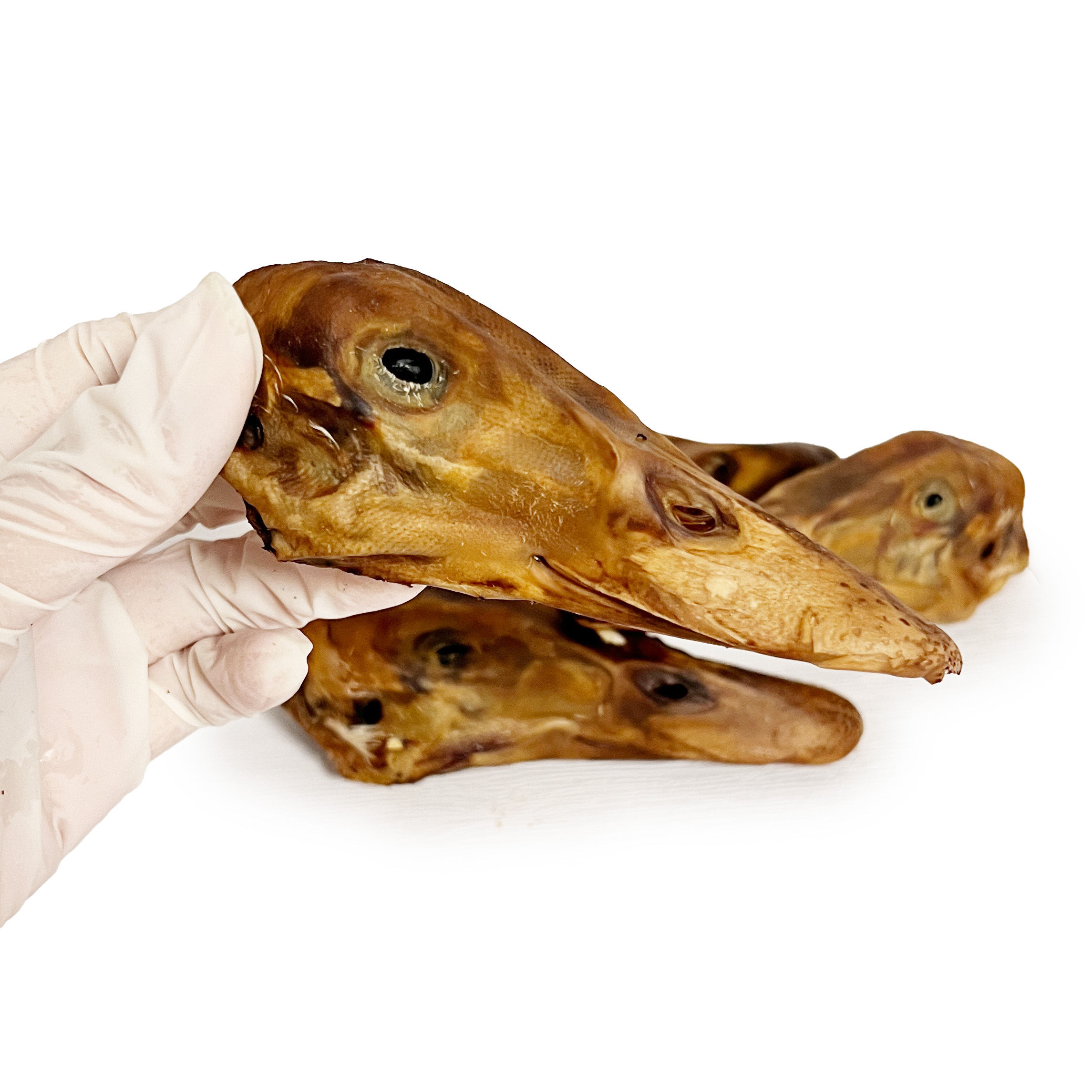Dehydrated Duck Heads (5pcs)