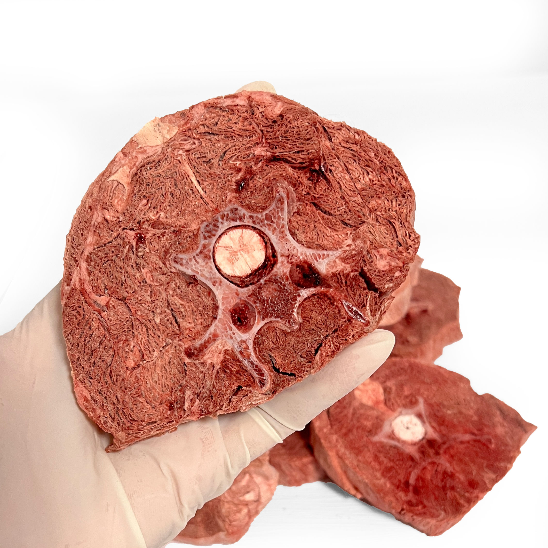 Venison Neck Bone-In Slice (160g)