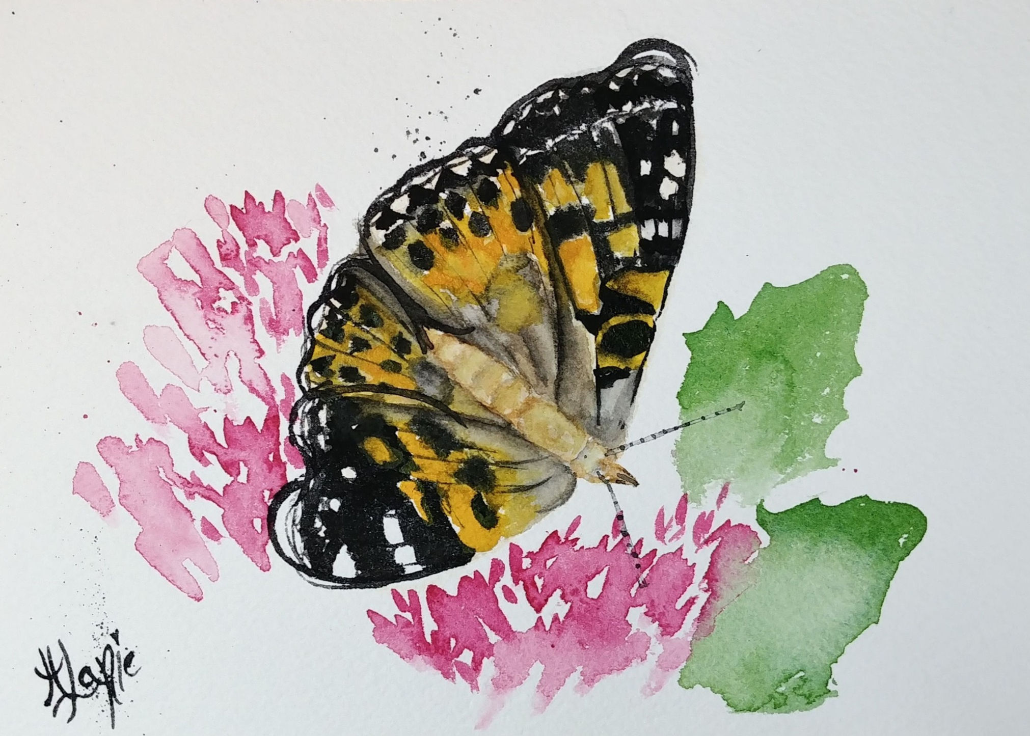 Aquarelle Oeuvre originale 5x7 Papillon Belle-Dame