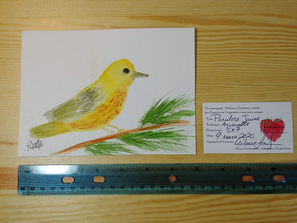 Thumbnail: Watercolor Original artwork 5x7 Yellow Warbler