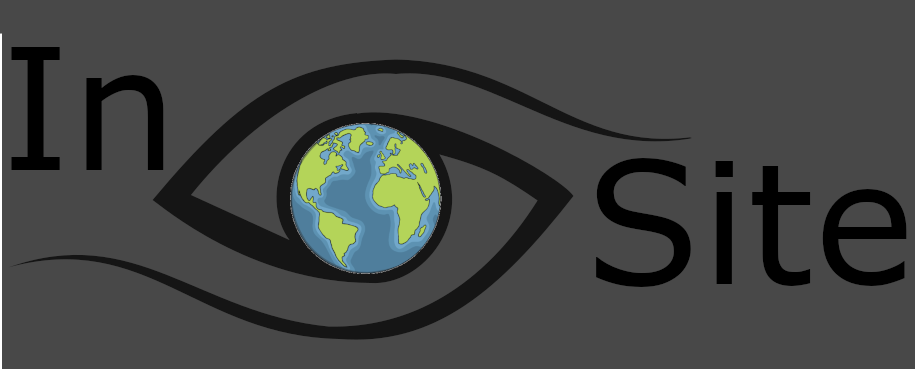 Logo for Insite web design created from scratch.