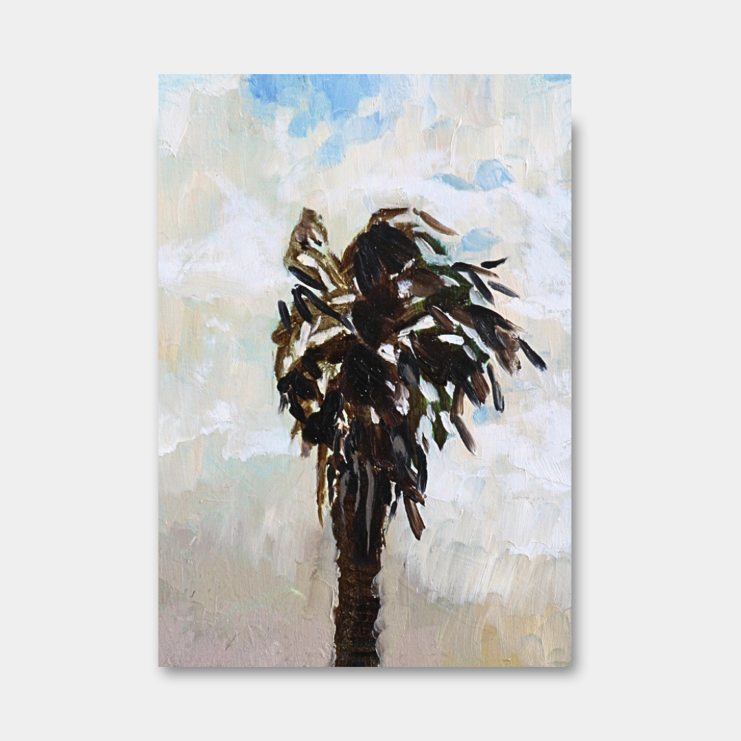 Palm Tree Caught in the South Easter