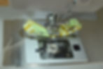 ree