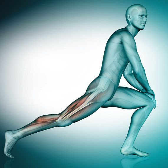 Mobilisation du système myofascial: Quadrant Inférieur