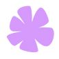 5.png