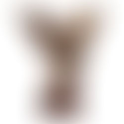 STAND FIRM TO MAKE HIS WILL KNOWN ON EARTH