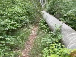 Update Sperrung Kornberg Trail