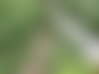 Update Sperrung Kornberg Trail