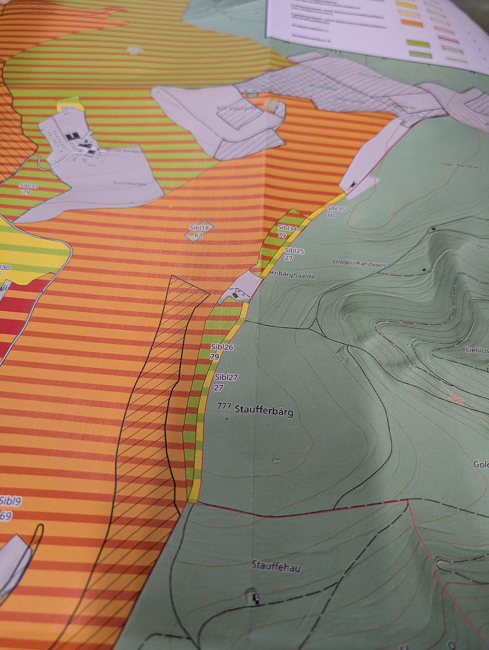 Der neue Streifen, auf dem der neue Trail entstehen soll