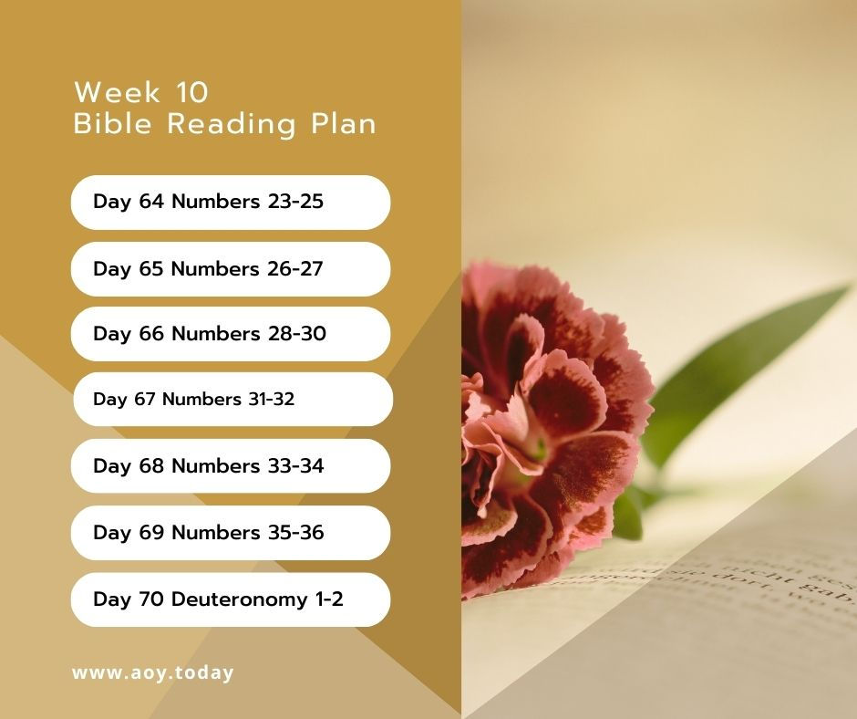 Week 10 Bible reading Plans