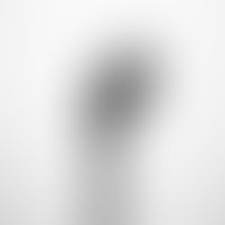 Day 15 - 'You shall not murder' in the Ten Commandments