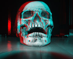 3D Skull