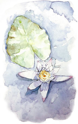 Lily_Watercolor_Graded