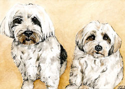 HugoAndOliver_Watercolor_GoldsteinK
