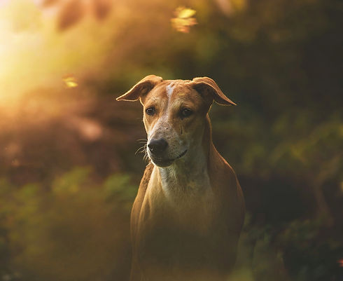 Contact Speuren naar mogelijkheden.jpg