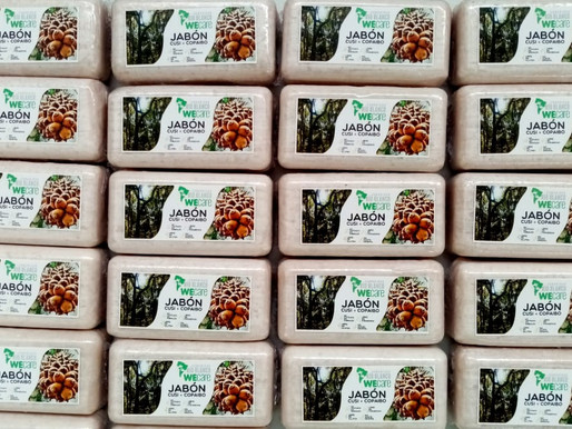 Cómo una empresa boliviana de cosméticos está ayudando a la lucha contra la deforestación en su país