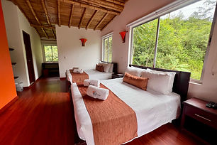 WhatsApp Image 2025-05-23 at 11.26.23 AM (1).jpeg