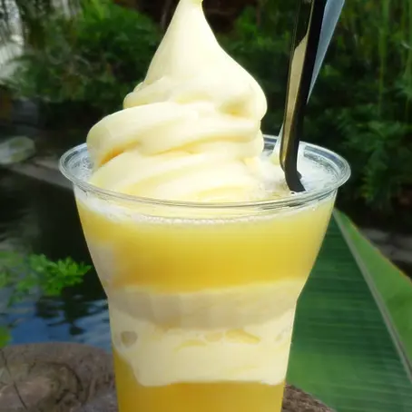 The Best Snacks at Magic Kingdom