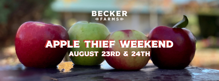APPLE THIEF WEEKEND