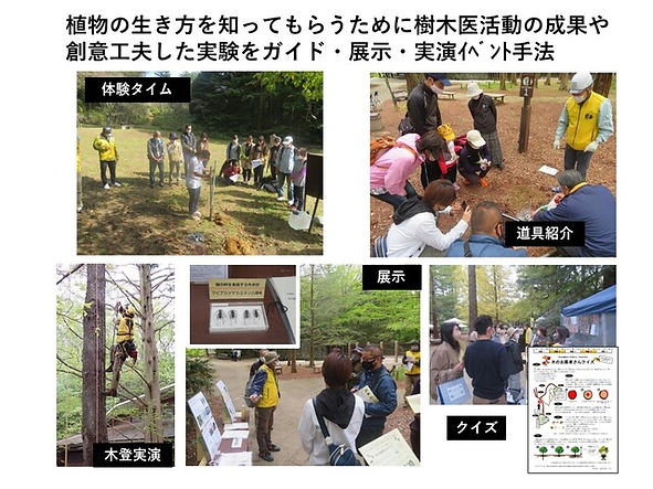 [木のお医者さんが伝える「樹木の生き方」 (6).jpg