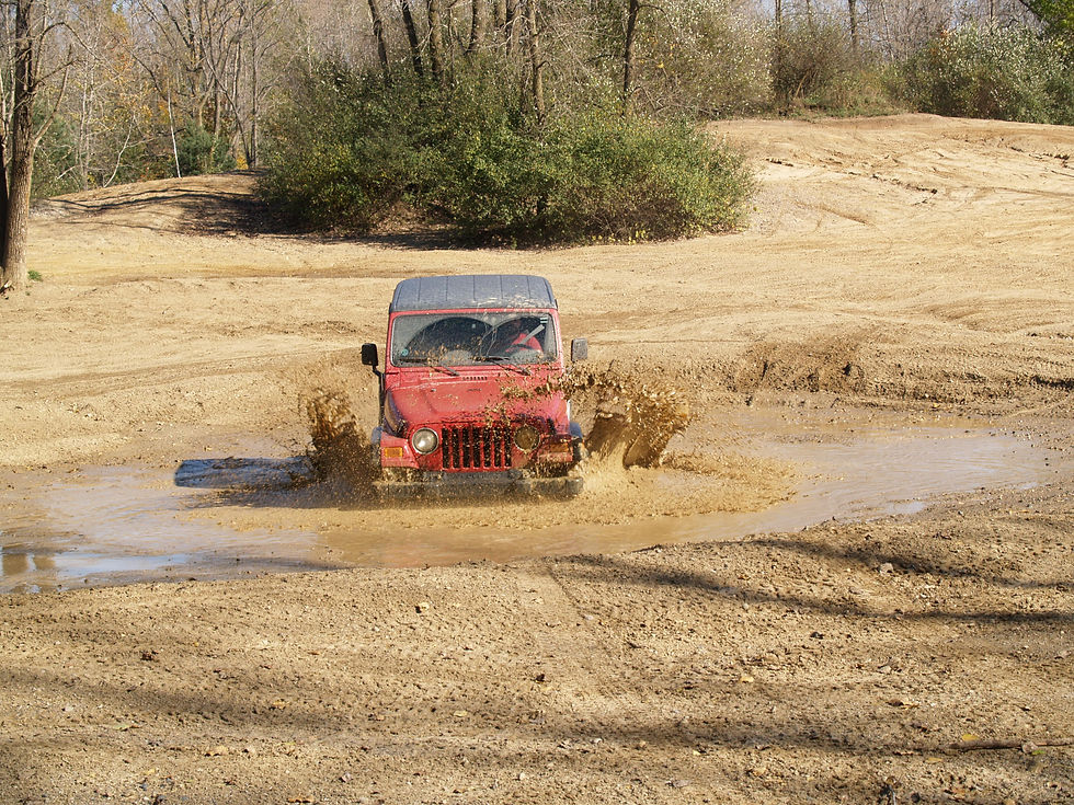 Taking the plunge II