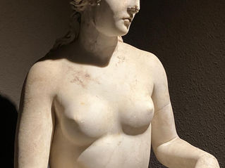 Une marque de lingerie au 441 tailles