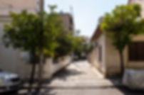 DSCF4220 s.jpg