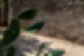 DSCF4303 s.jpg