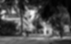 DSCF4325 s.jpg