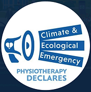 Physio declares.png