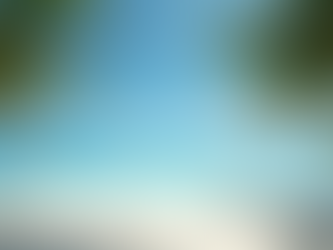 Understanding Residency Options in Vanuatu