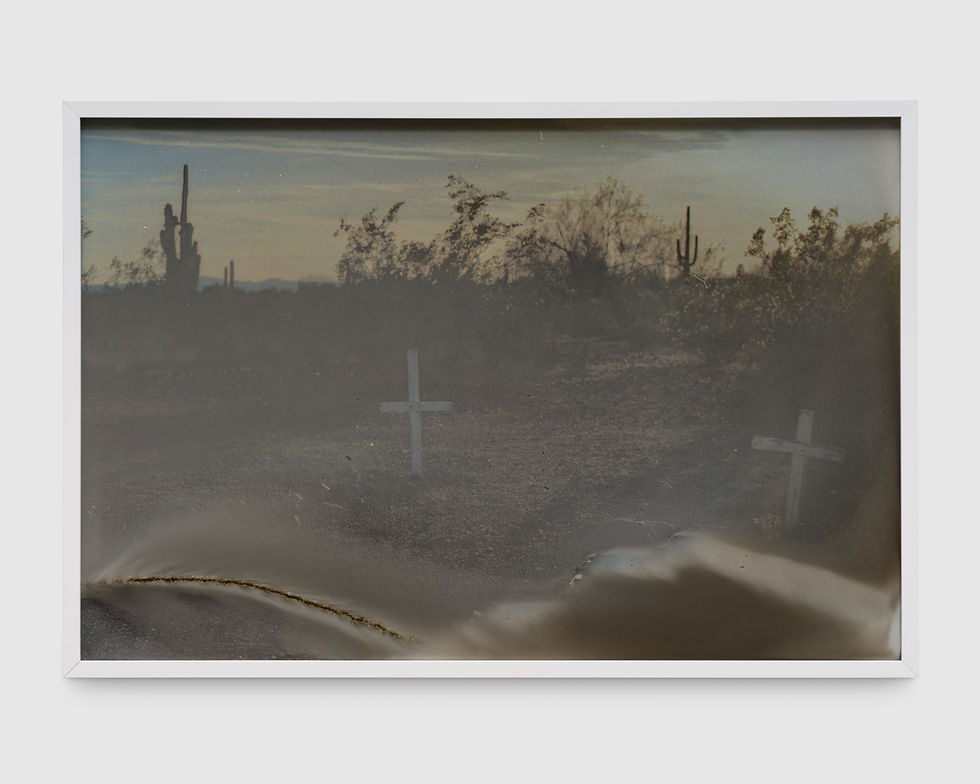 Cara Despain, slow burn (Mars Research Station), 2024