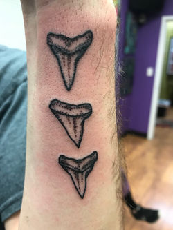 Devin20