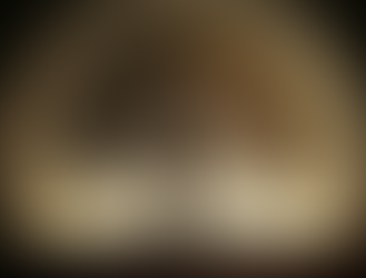 Ancestralidade é o Alicerce: O Guia Completo para a Reverência Ancestral no Vodu de Nova Orleans