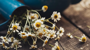 Uma Receita para Melhorar a Sua Saúde