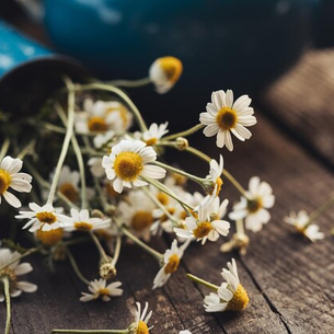 Uma Receita para Melhorar a Sua Saúde