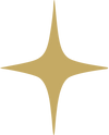 web icon star (1).png