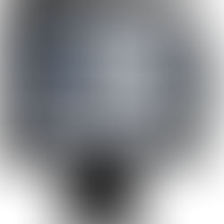 Best Western in bed with IQ Gecko