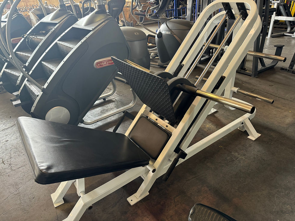 Plate Loaded Leg Press