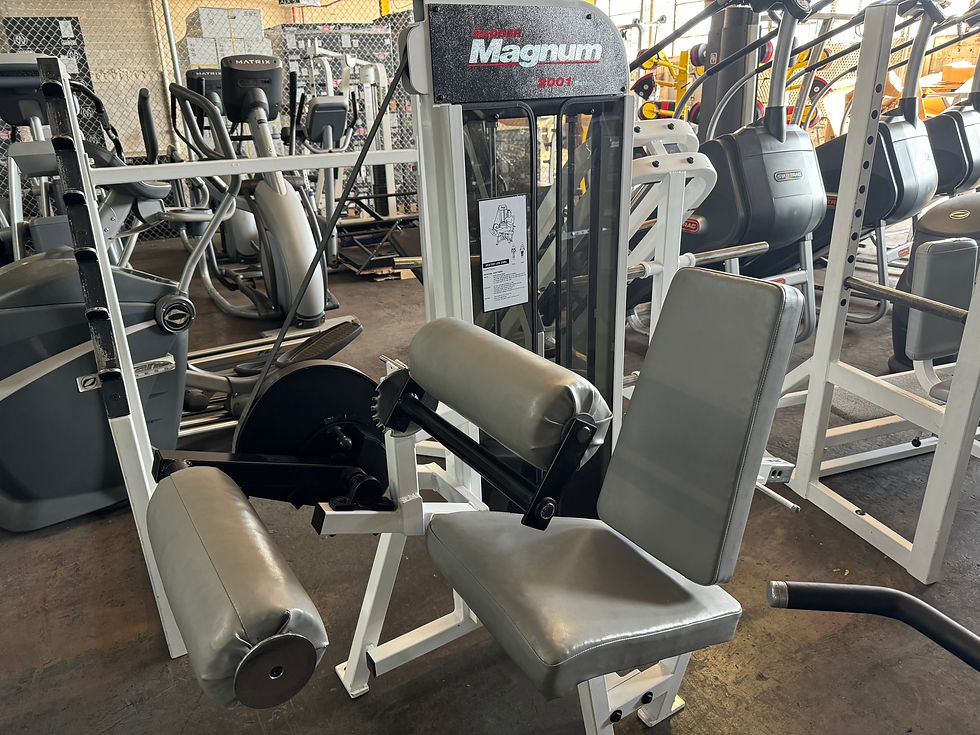 Magnum Leg Curl