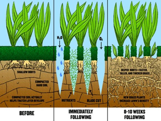 aeration-1.jpg