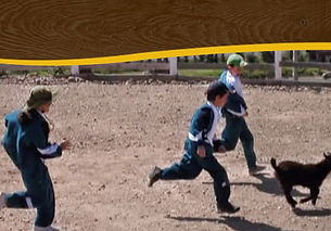Corre y cógelos