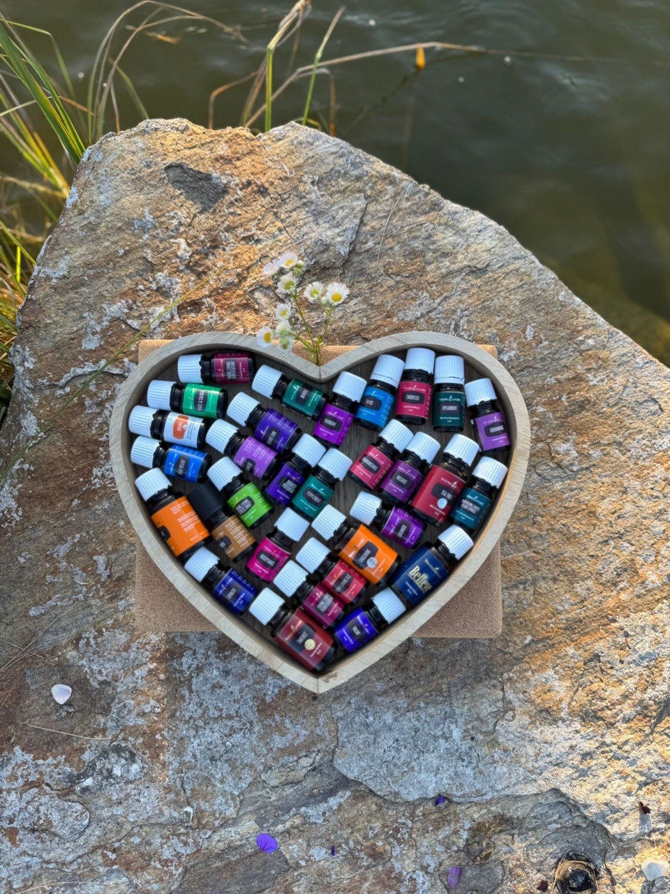 Infoabend ätherische Öle