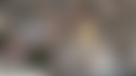 Odysee of the seas - Tagesausflüge