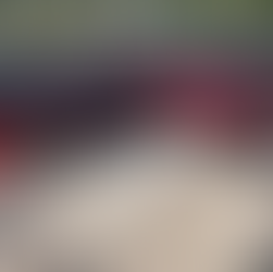 Metal + Shingle Barndominium Roof? | Barndo Build Updates